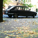 Illustration for article titled A Once-Common French Family Car Turned Fall Beauty
